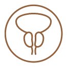 Stylized icon or logo representing the UroLift and Greenlight Laser procedure, which is a minimally invasive treatment for BPH (benign prostatic hyperplasia)